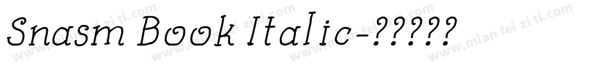 Snasm Book Italic字体转换